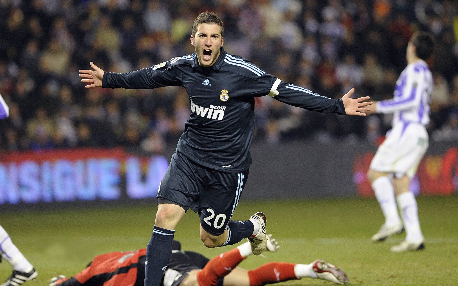 世界冰球：加拿大队稳居金牌榜，霸者地位巩固！，加拿大国家冰球联盟